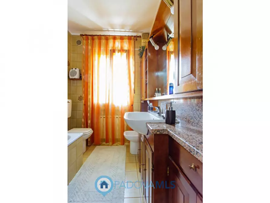 Immagine 13 di Casa indipendente in vendita  in Via Cornoledo, a Pernumia