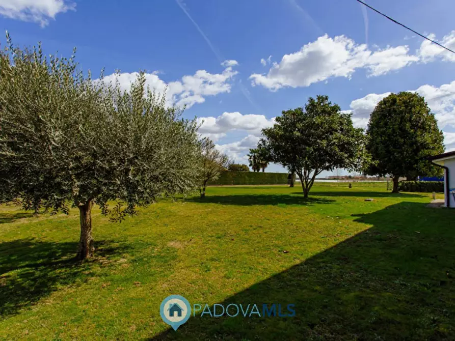 Immagine 15 di Casa indipendente in vendita  in Via Cornoledo, a Pernumia
