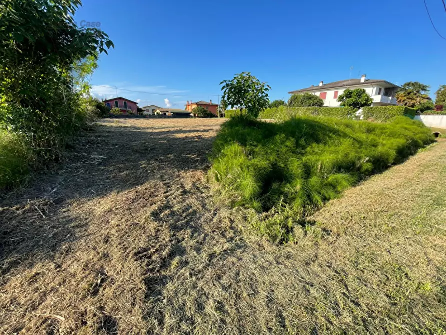 Immagine 4 di Terreno in vendita  a Legnaro