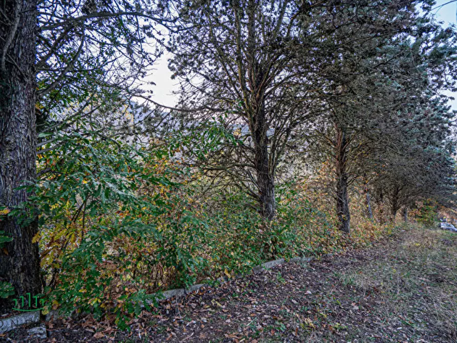 Immagine 29 di Casa indipendente in vendita  in Via Torriane a Bologna