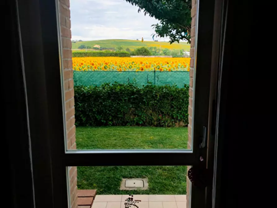 Immagine 18 di Appartamento in vendita  a Senigallia