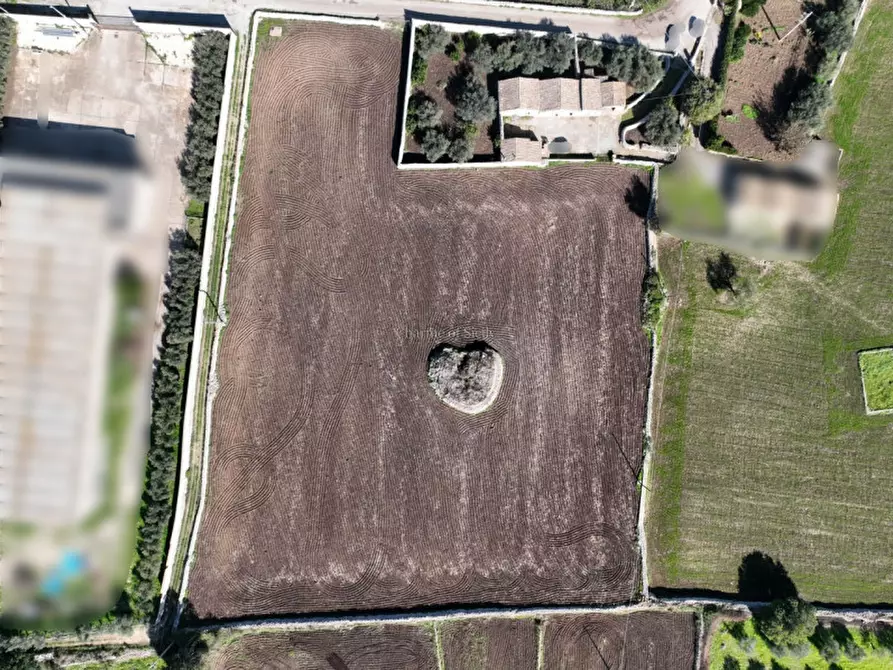 Immagine 15 di Casa indipendente in vendita  in Via Catanzaro Pizzilli a Modica