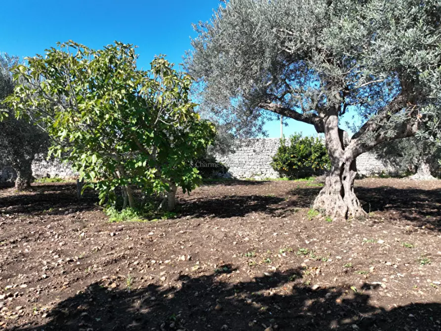 Immagine 27 di Casa indipendente in vendita  in Via Catanzaro Pizzilli a Modica