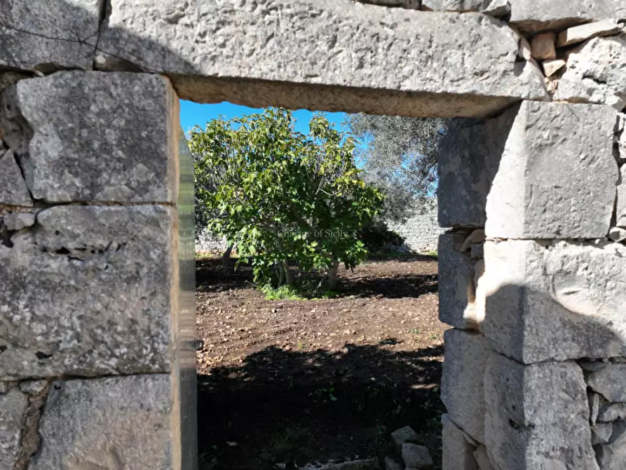 Immagine 29 di Casa indipendente in vendita  in Via Catanzaro Pizzilli a Modica