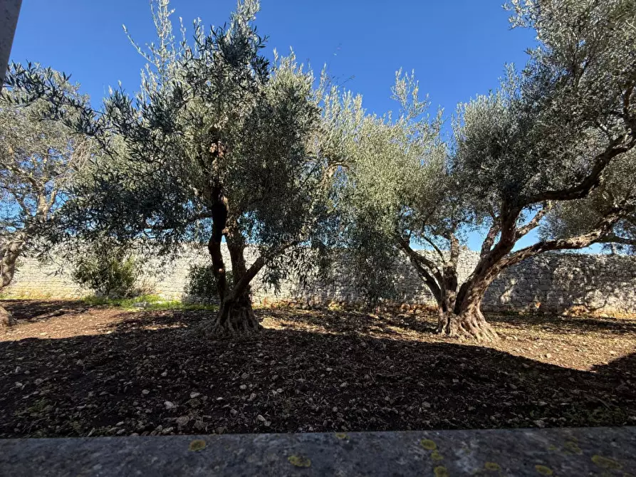 Immagine 37 di Casa indipendente in vendita  in Via Catanzaro Pizzilli a Modica