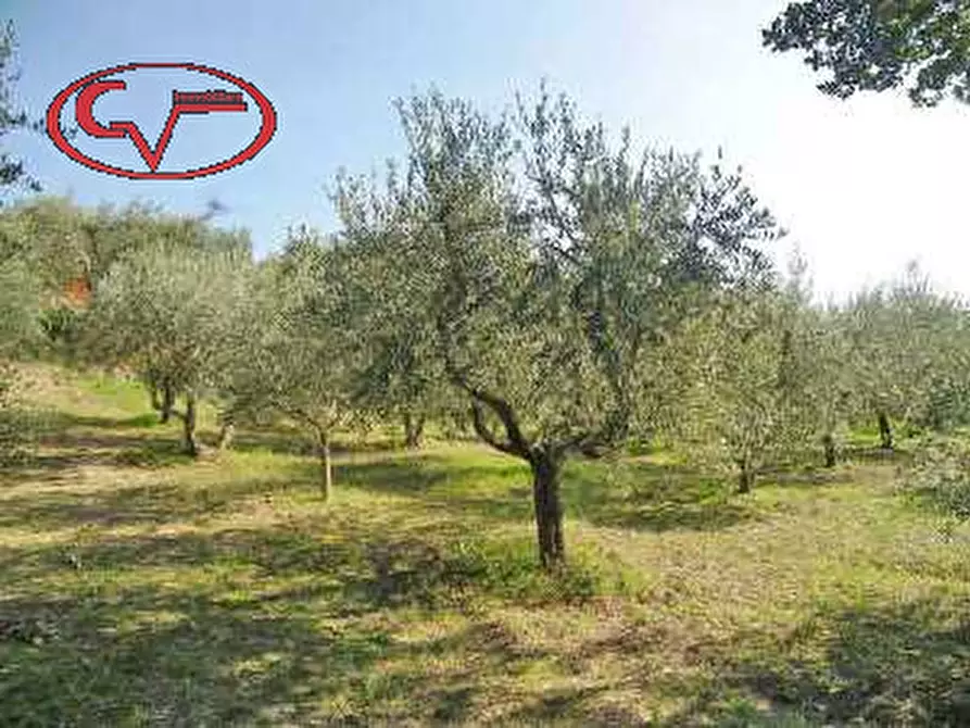 Immagine 2 di Terreno in vendita  in via di ricasoli a Montevarchi