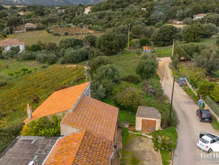 Immagine 5 di Villetta a schiera in vendita  in VIA MARSILIO FUCINO 11 a Olbia