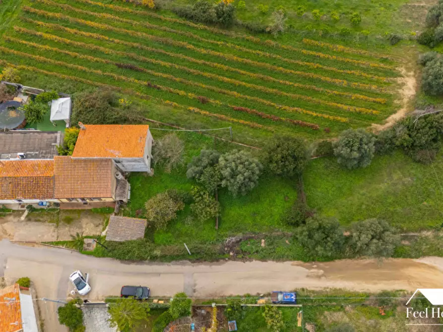 Immagine 7 di Villetta a schiera in vendita  in VIA MARSILIO FUCINO 11 a Olbia