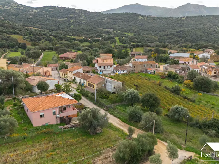 Immagine 9 di Villetta a schiera in vendita  in VIA MARSILIO FUCINO 11 a Olbia