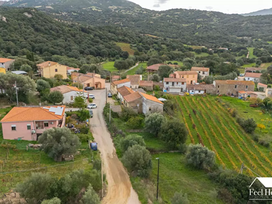 Immagine 10 di Villetta a schiera in vendita  in VIA MARSILIO FUCINO 11 a Olbia