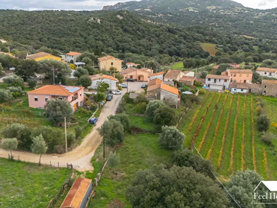 Immagine 11 di Villetta a schiera in vendita  in VIA MARSILIO FUCINO 11 a Olbia