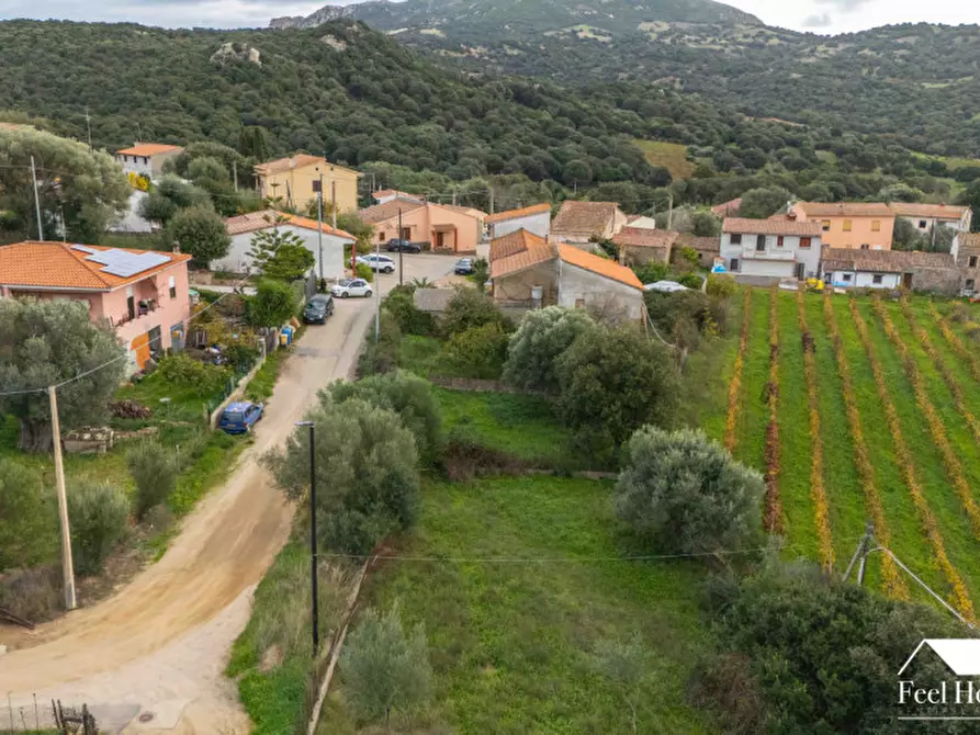 Immagine 11 di Villetta a schiera in vendita  in VIA MARSILIO FUCINO 11 a Olbia