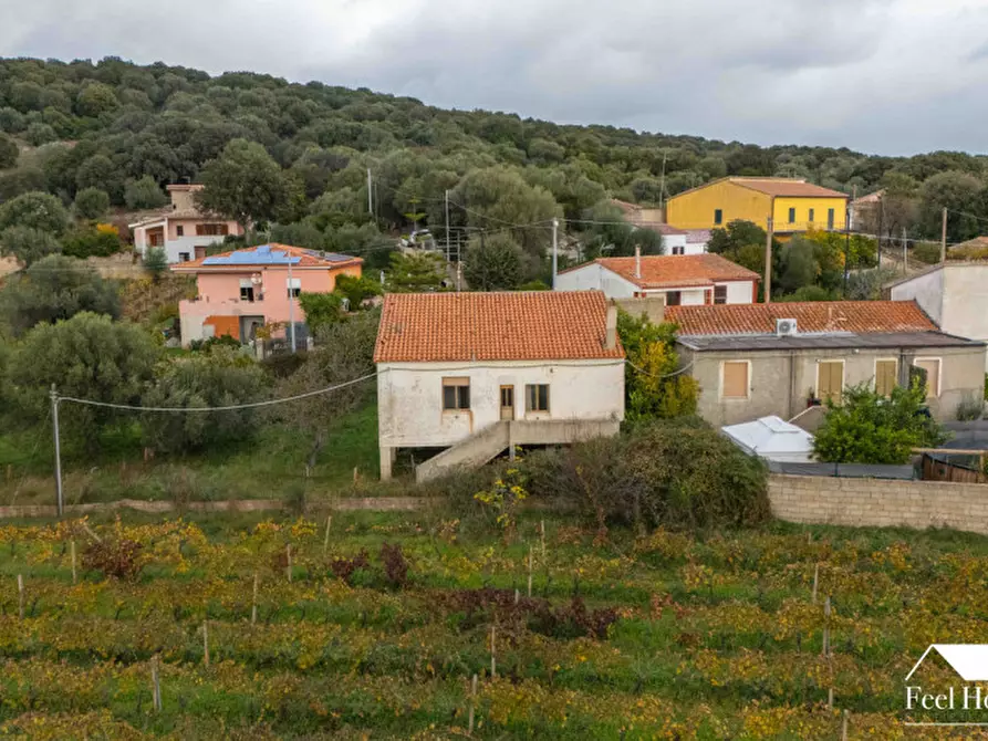 Immagine 17 di Villetta a schiera in vendita  in VIA MARSILIO FUCINO 11 a Olbia