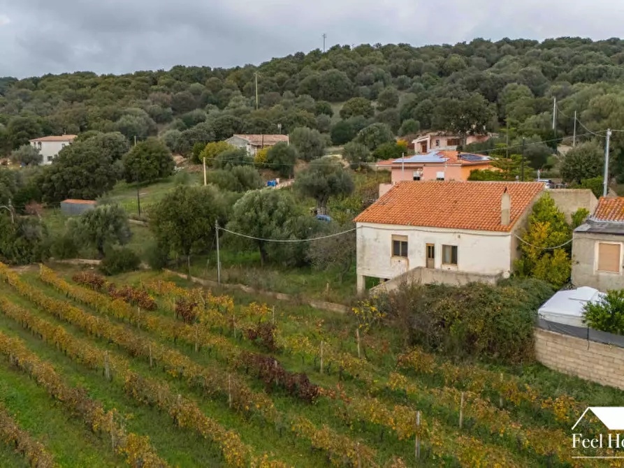 Immagine 18 di Villetta a schiera in vendita  in VIA MARSILIO FUCINO 11 a Olbia