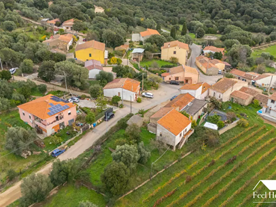 Immagine 21 di Villetta a schiera in vendita  in VIA MARSILIO FUCINO 11 a Olbia
