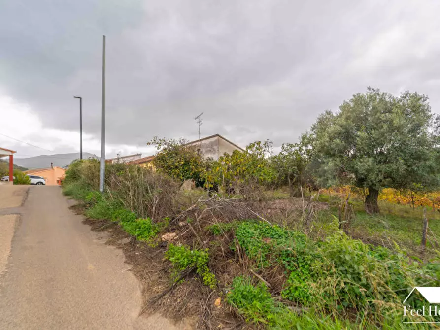 Immagine 46 di Villetta a schiera in vendita  in VIA MARSILIO FUCINO 11 a Olbia