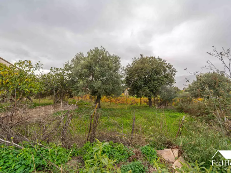 Immagine 45 di Villetta a schiera in vendita  in VIA MARSILIO FUCINO 11 a Olbia