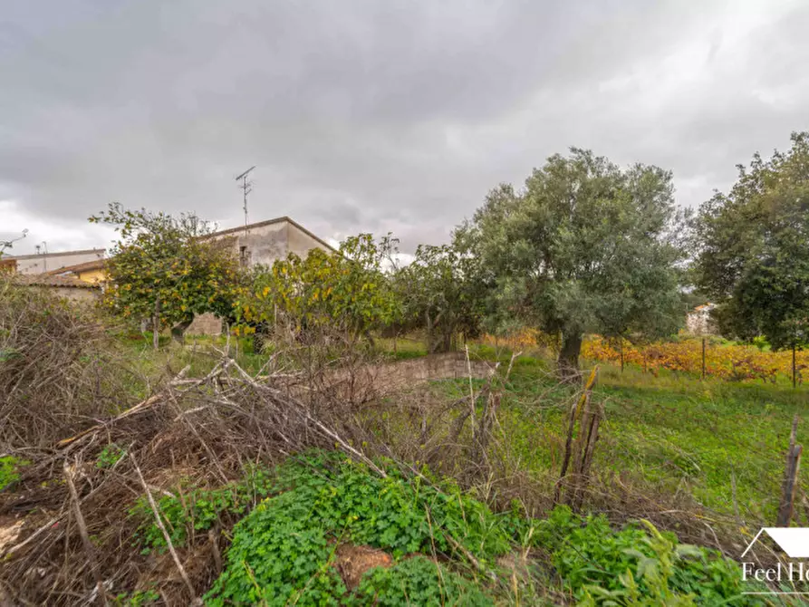 Immagine 46 di Villetta a schiera in vendita  in VIA MARSILIO FUCINO 11 a Olbia