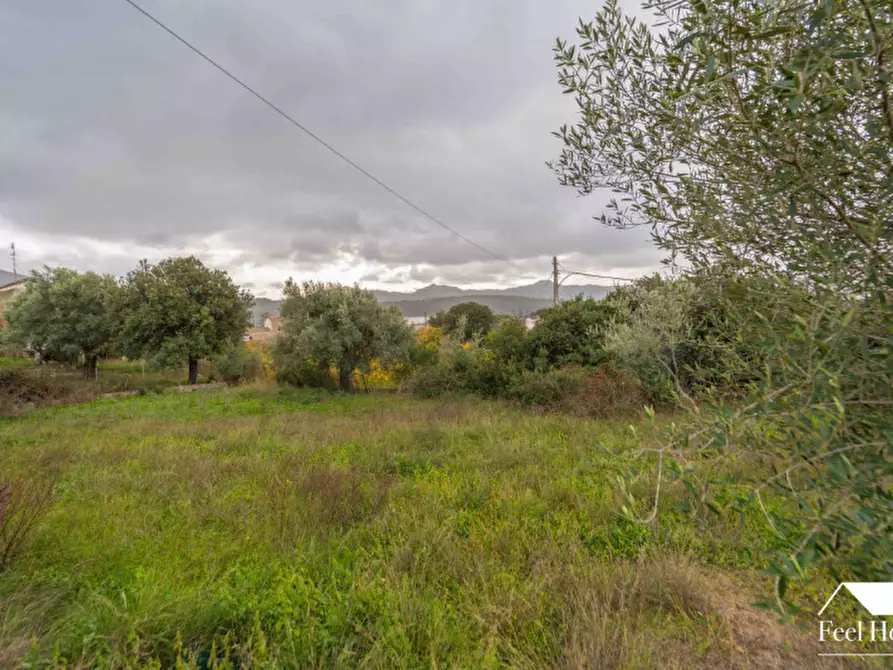 Immagine 48 di Villetta a schiera in vendita  in VIA MARSILIO FUCINO 11 a Olbia