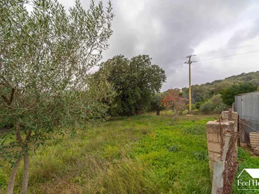 Immagine 49 di Villetta a schiera in vendita  in VIA MARSILIO FUCINO 11 a Olbia