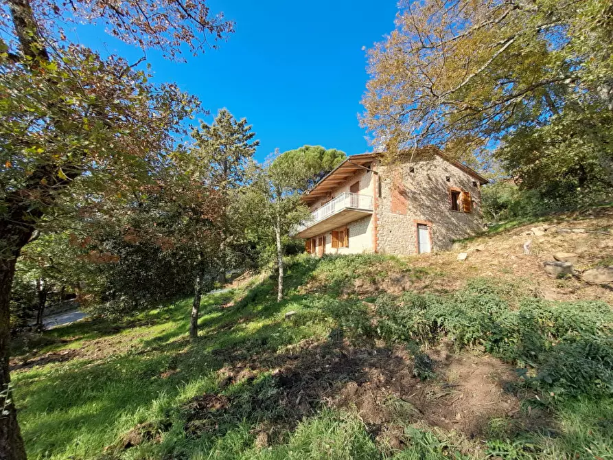 Immagine 3 di Villa in vendita  a Tuoro Sul Trasimeno
