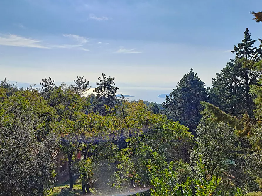 Immagine 3 di Villa in vendita  a Tuoro Sul Trasimeno