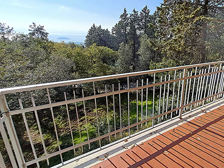 Immagine 4 di Villa in vendita  a Tuoro Sul Trasimeno