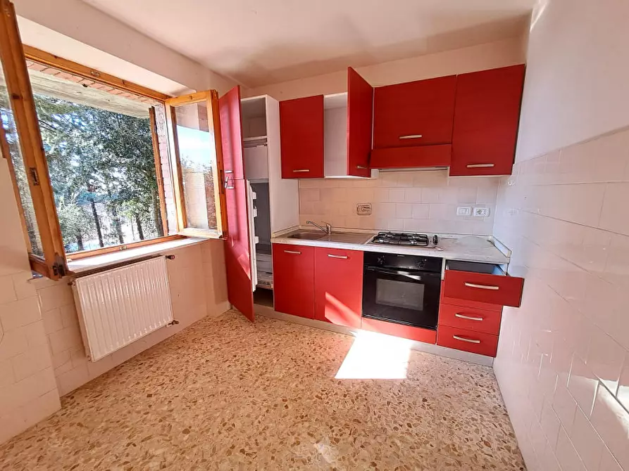 Immagine 6 di Villa in vendita  a Tuoro Sul Trasimeno