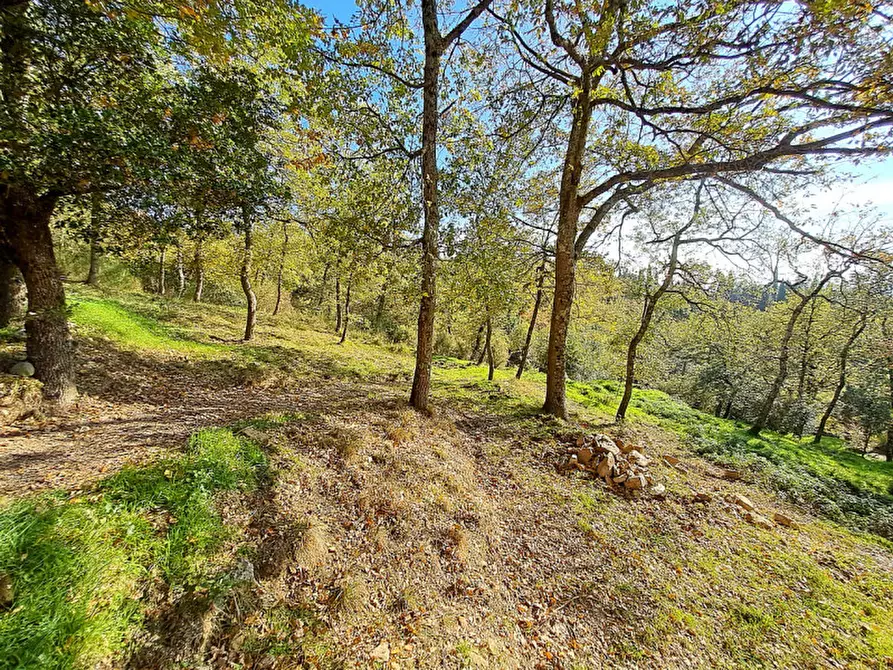 Immagine 19 di Villa in vendita  a Tuoro Sul Trasimeno