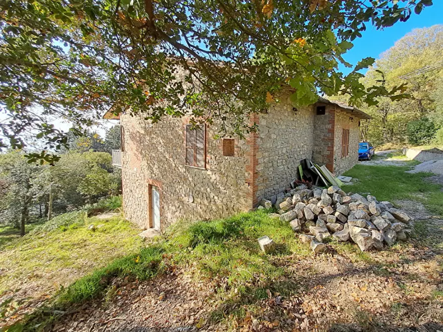 Immagine 21 di Villa in vendita  a Tuoro Sul Trasimeno