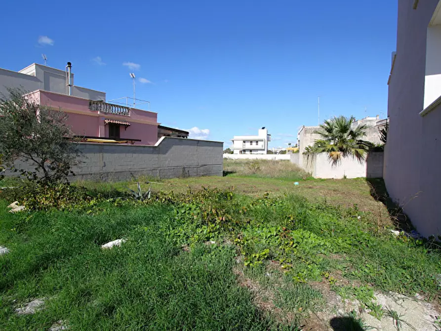 Immagine 6 di Terreno in vendita  in Via Vincent Van Gogh a Sannicola