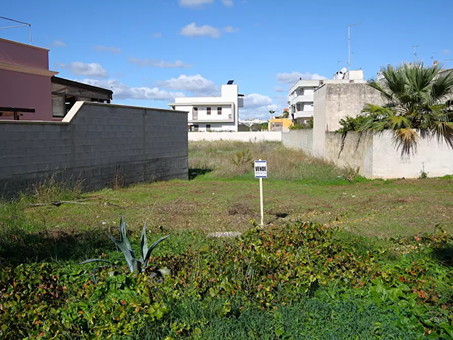 Immagine 8 di Terreno in vendita  in Via Vincent Van Gogh a Sannicola