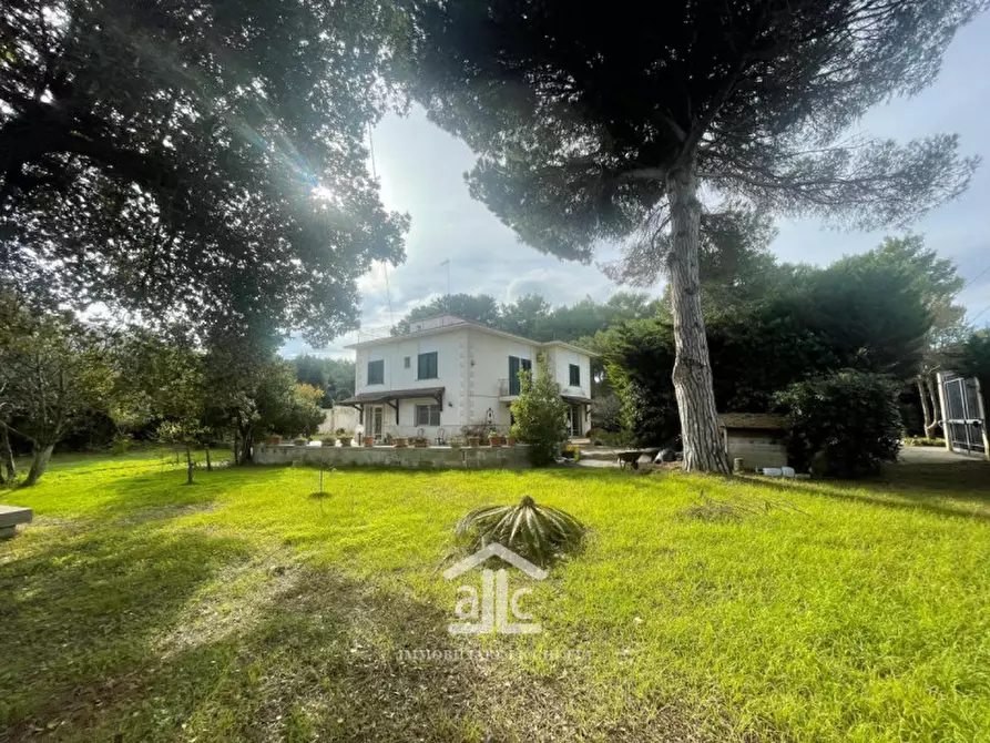 Immagine 4 di Villa in vendita  in via dell'asparigina,8 a Vernole