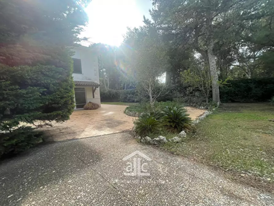 Immagine 8 di Villa in vendita  in via dell'asparigina,8 a Vernole