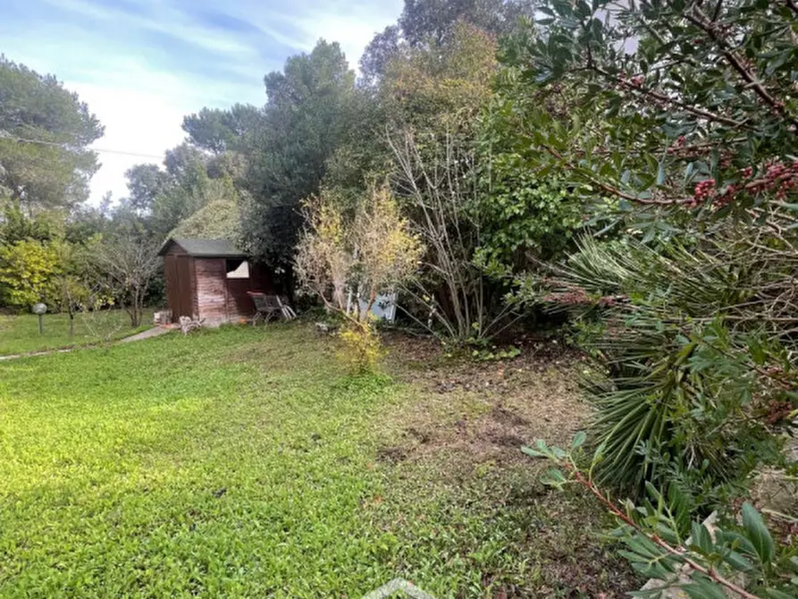 Immagine 17 di Villa in vendita  in via dell'asparigina,8 a Vernole