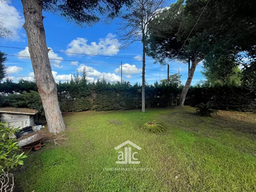 Immagine 22 di Villa in vendita  in via dell'asparigina,8 a Vernole