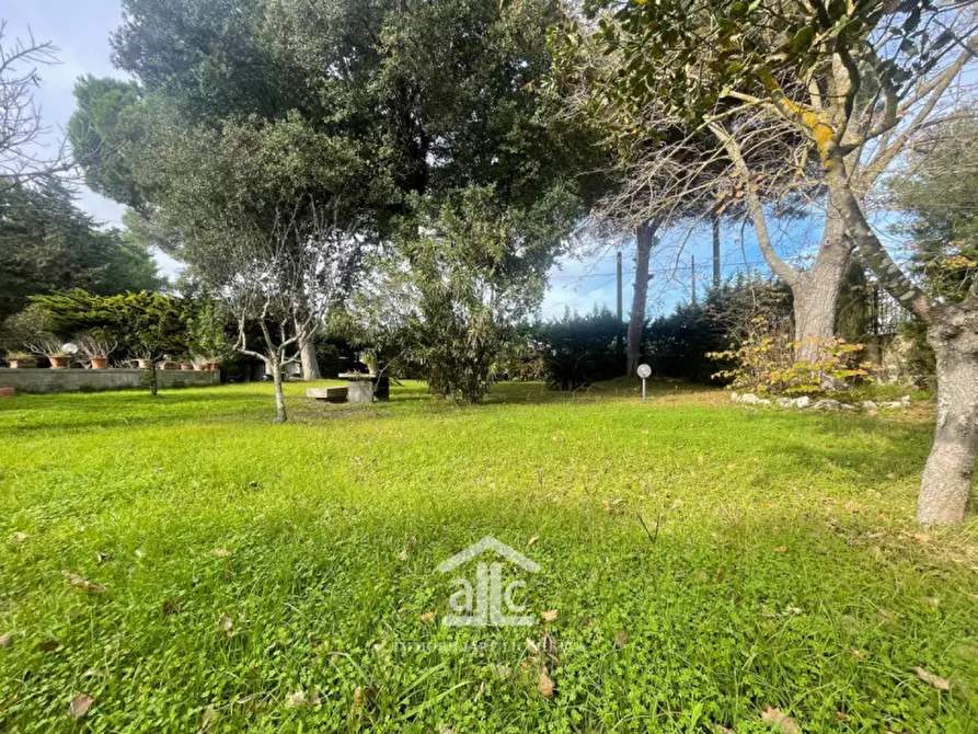 Immagine 24 di Villa in vendita  in via dell'asparigina,8 a Vernole