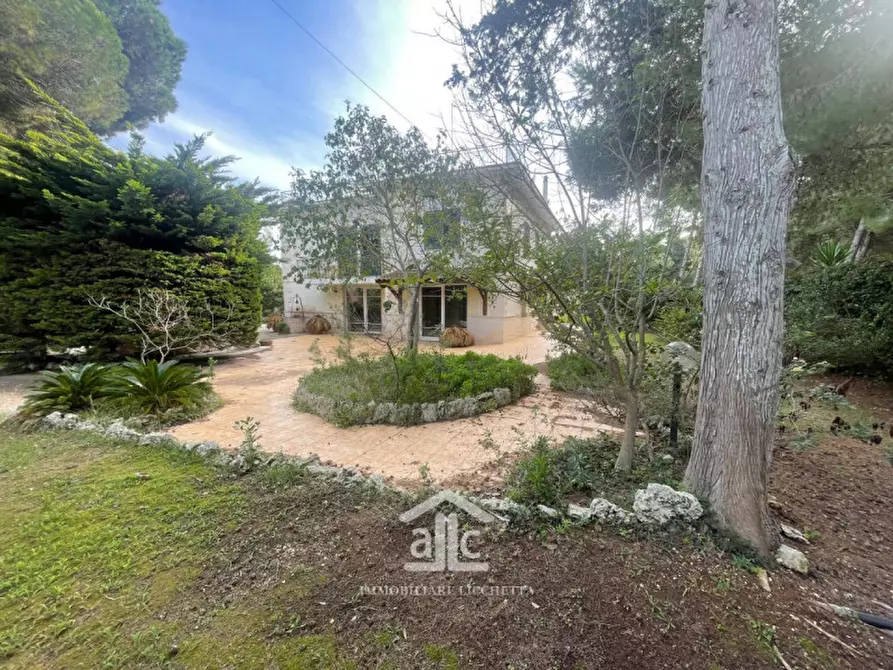 Immagine 29 di Villa in vendita  in via dell'asparigina,8 a Vernole