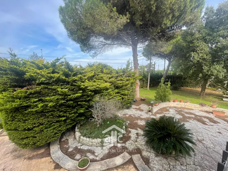 Immagine 90 di Villa in vendita  in via dell'asparigina,8 a Vernole