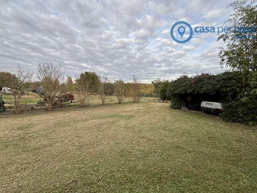 Immagine 23 di Casa indipendente in vendita  a Frassinelle Polesine