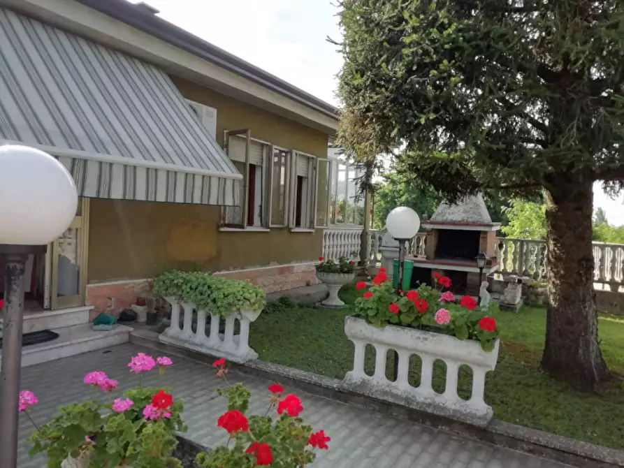 Immagine 2 di Casa indipendente in vendita  a Badia Polesine