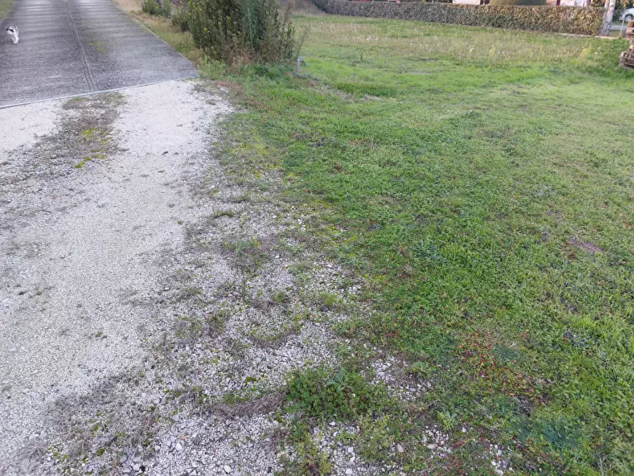 Immagine 31 di Casa indipendente in vendita  a Badia Polesine