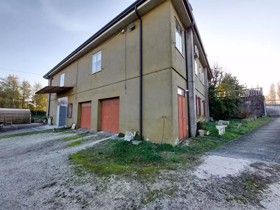 Immagine 33 di Casa indipendente in vendita  a Badia Polesine