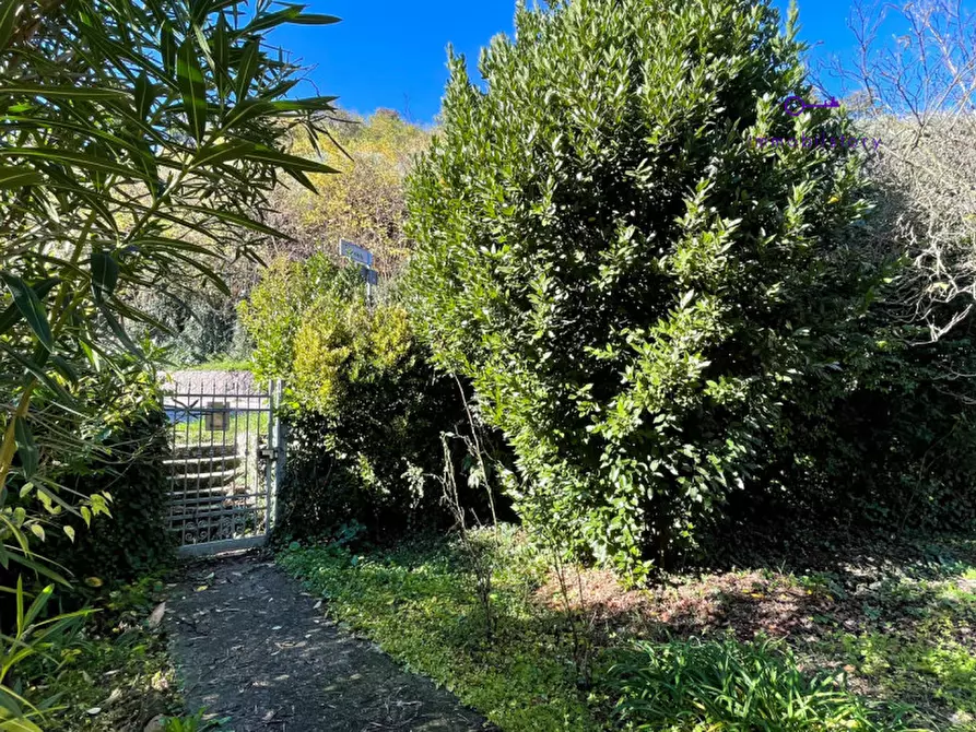 Immagine 3 di Casa indipendente in vendita  in Via John Fitzgerald Kennedy a Galzignano Terme