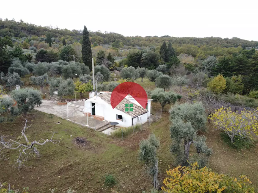 Immagine 13 di Casa indipendente in vendita  a Miglionico