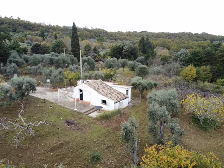 Immagine 14 di Casa indipendente in vendita  a Miglionico