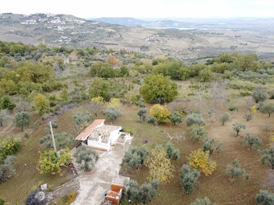 Immagine 17 di Casa indipendente in vendita  a Miglionico