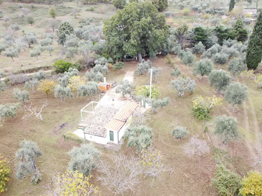 Immagine 18 di Casa indipendente in vendita  a Miglionico