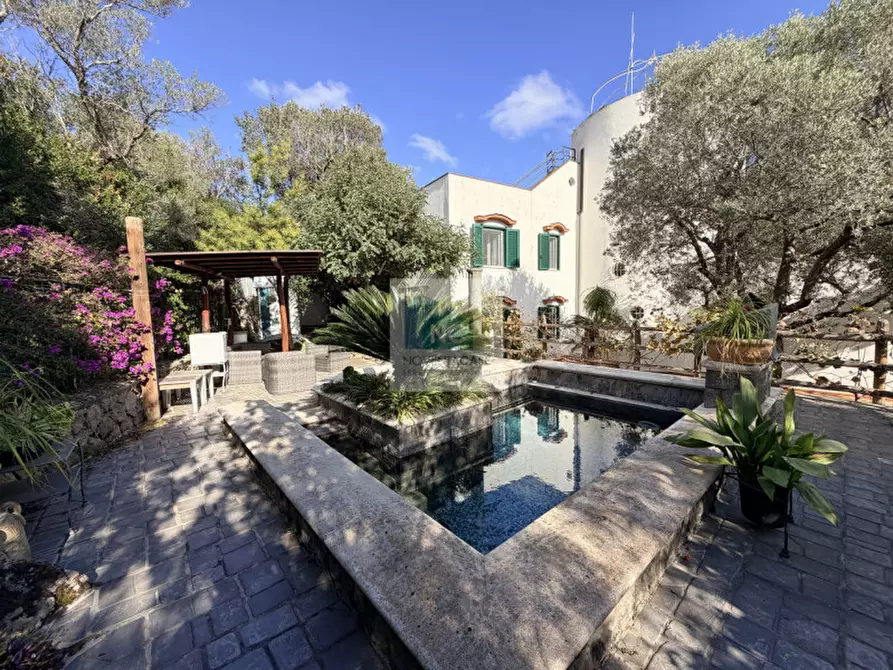 Immagine 1 di Villa in vendita  in Via Francesco Calise Operaio Foriano a Forio