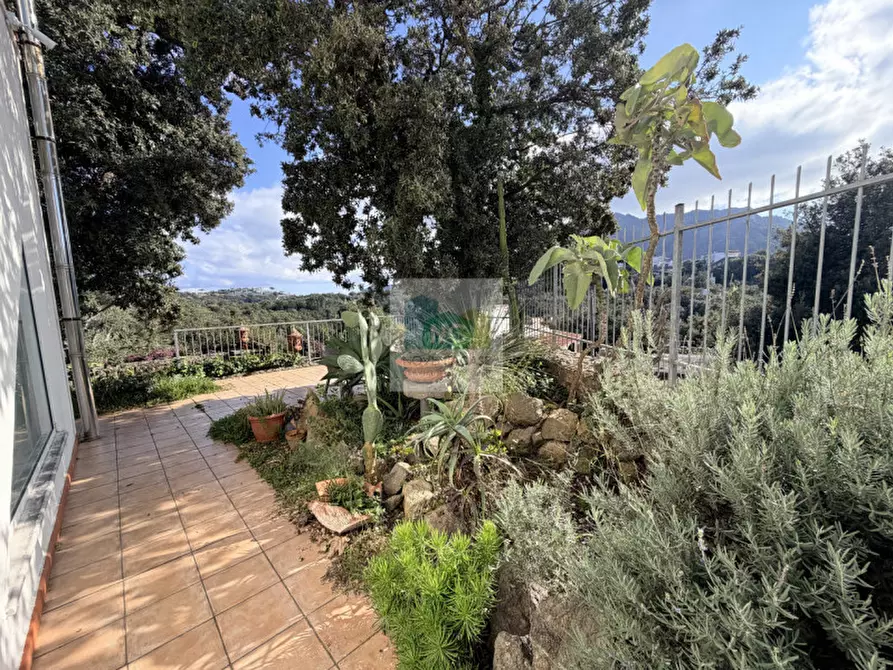 Immagine 44 di Villa in vendita  in Via Francesco Calise Operaio Foriano a Forio